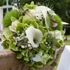 Ein Brautstrauß aus grüner Hortensie, weißer Calla und Eukalyptus sowie Schleierkraut.
